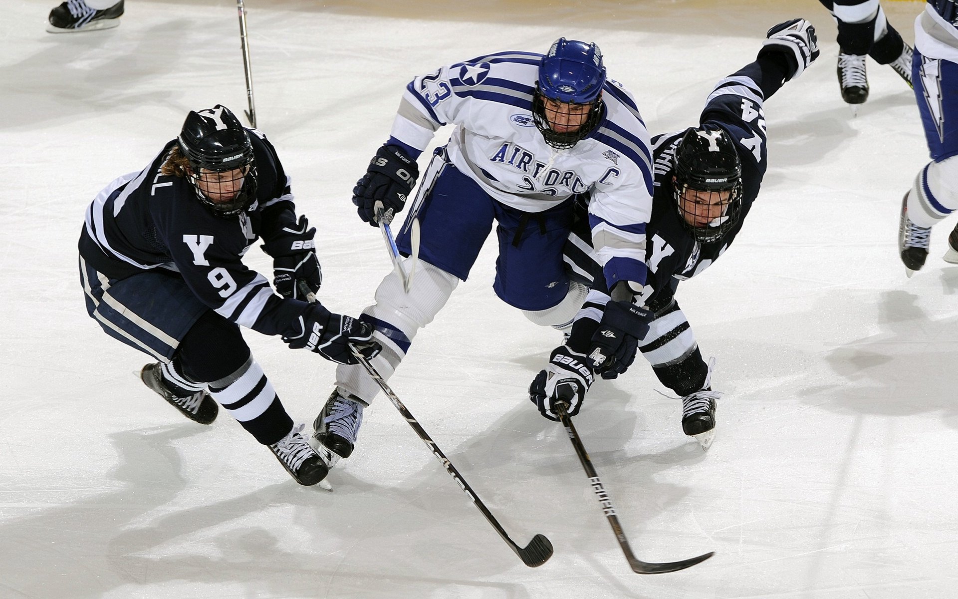 世界沙滩排球巡回赛展开激烈角逐，世界沙滩排球锦标赛中每队上场选手人数为